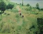 Pierre-Auguste Renoir - Country footpath in the summer