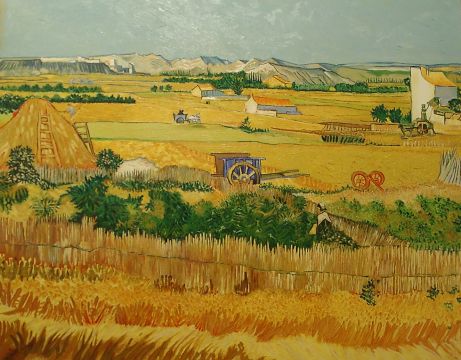 Vincent Van Gogh - Veduta della piana di La Crau